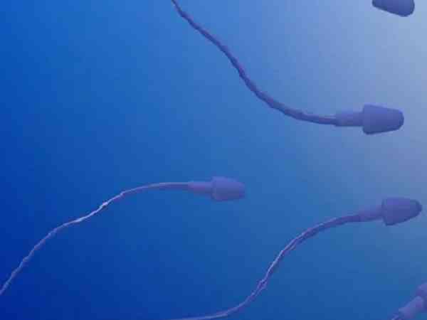 贵州有能开展精子分离技术的正规生殖医院吗？
