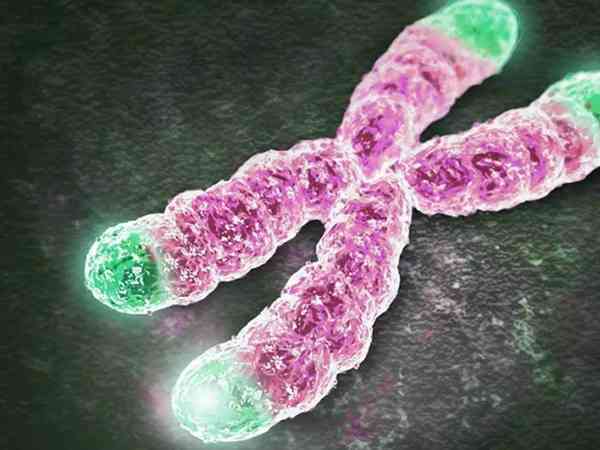 乌鲁木齐新医大一附院做试管染色体异常是什么原因？