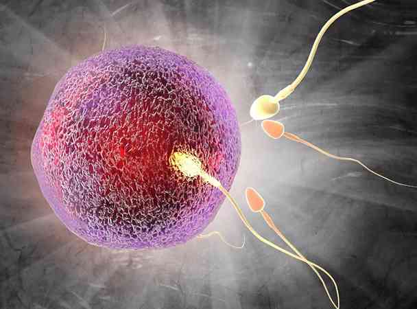 为什么养11个囊胚会全部失败没有一个成功呢？