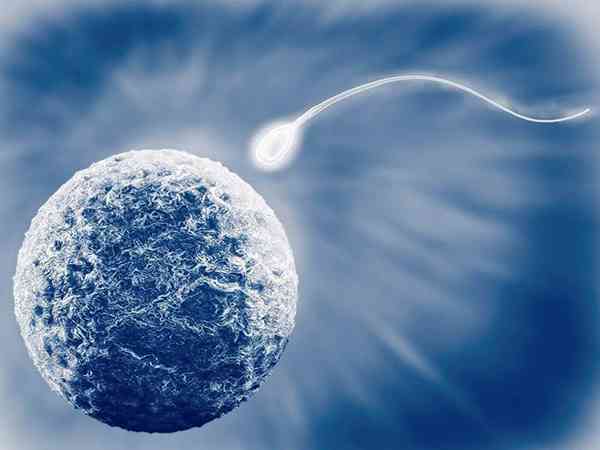 13个胚胎养囊成功7个是正常的吗？