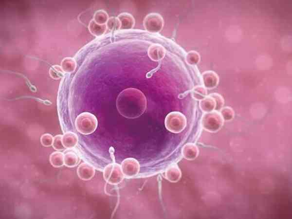 17个胚胎继续养囊成功率高吗？可以养成几个囊胚？
