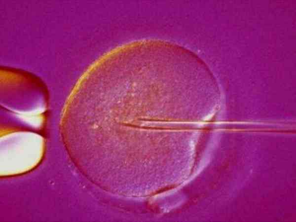 18个胚胎养囊成10个算好吗？