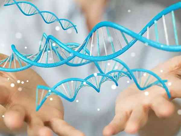 为什么做三代试管婴儿需要做父母的基因检测？