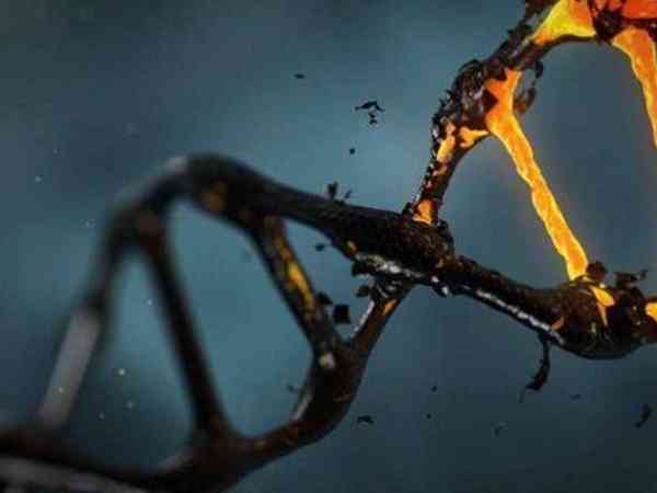 sod1基因杂合突变都是家族性的吗？会不会遗传给下一代？