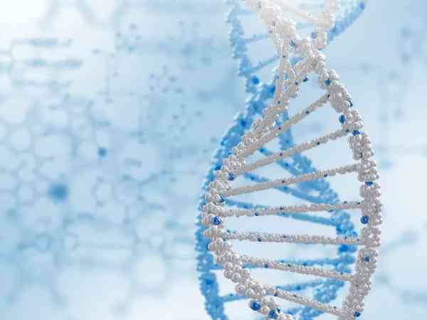 apc基因测序检测到杂合治病突变会遗传给下一代吗？