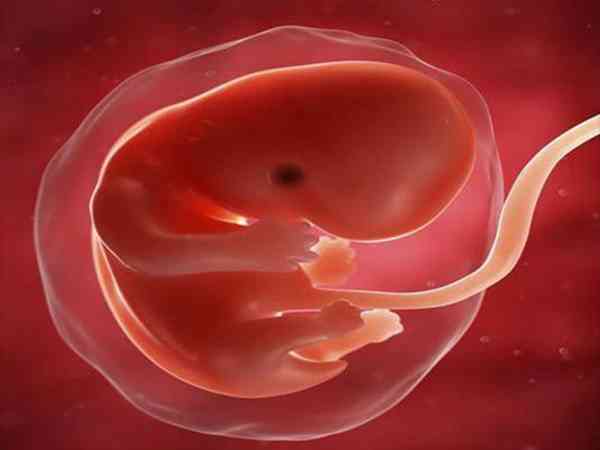 移植囊胚没成功第六天胚胎就会萎缩流出来吗？
