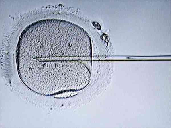试管移植冻囊胚8天测不到怀孕身体也没反应正常吗？