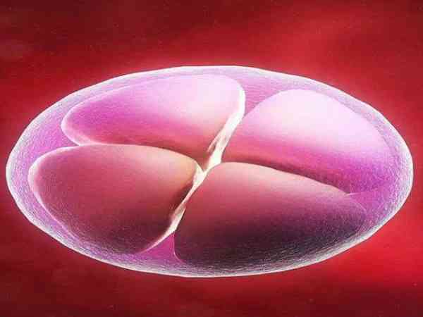 囊胚移植第十天着床成功但是没有任何症状正常么?