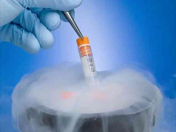 冷冻胚胎为什么冻不死可以一直在液氮中保存着？