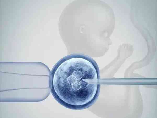 第一胎是做试管生的第二胎要隔多久才能再怀孕？