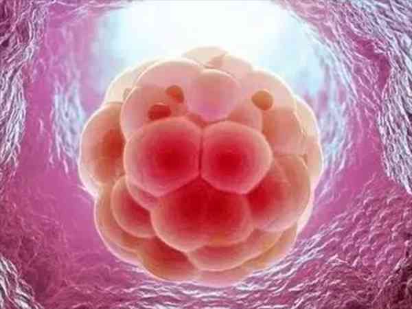 3代试管为啥检测不出来囊胚生化原因？该咋办？