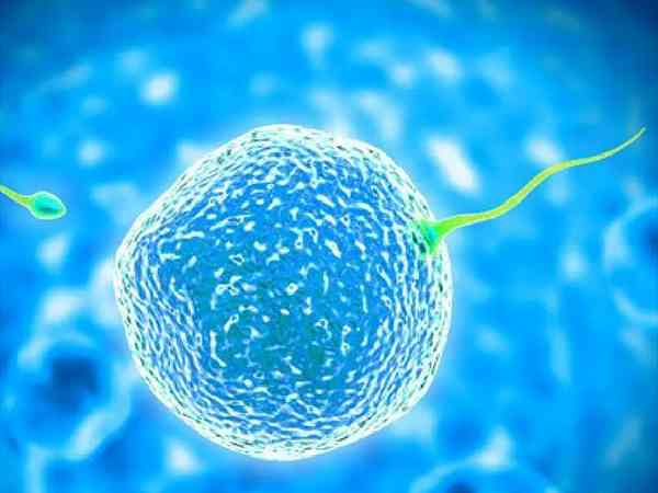 月经周期长可以走自然周期移植冻囊胚吗？