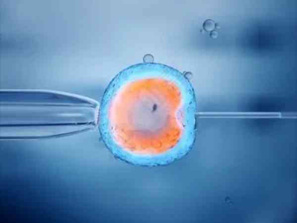 做试管婴儿放的囊胚用清宫图能算出来男女吗？