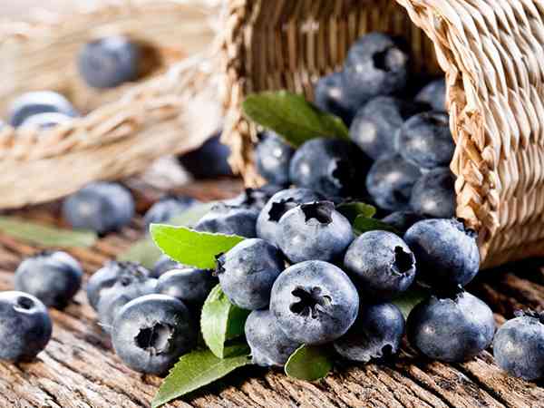 富含叶黄素的食物和水果排行榜，蓝莓排名前三当之无愧