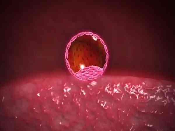 胚胎每次都着床但是都不长的原因分析，恐与宫腔环境有关