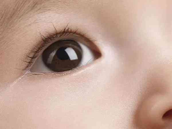 眼睛90%遗传爸爸不靠谱，双眼皮和眼睛大小都有规律可循