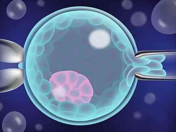 孕酮高无法移植胚胎怎么降？用这3方法轻松恢复正常