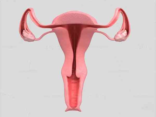 宫颈口松移植胚胎容易掉出来吗？