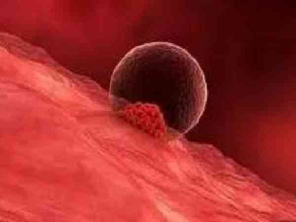 子宫内膜血流多少才可以正常移植冻囊胚？