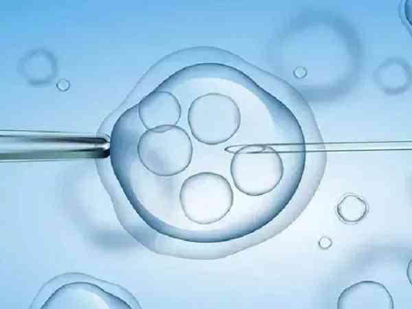 试管婴儿胚胎移植后能吃日料刺身里白色的鱼片吗？