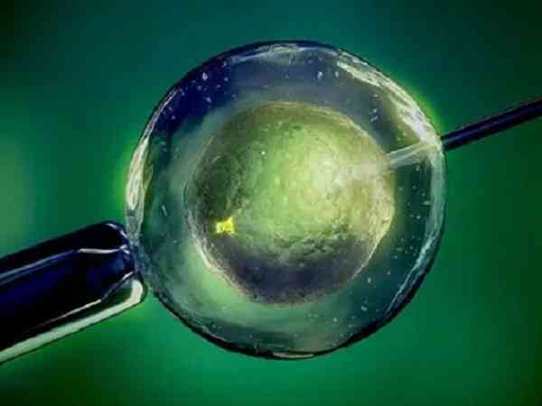 移植后洗澡会不会冲掉胚胎？附冲热水澡的危害和弊端
