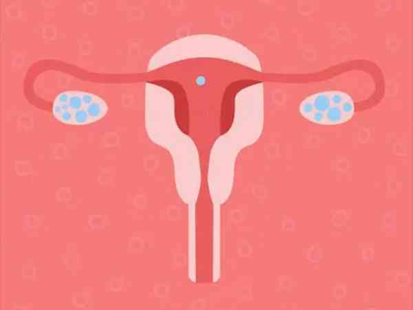 打降调后子宫内膜呈线状可以进行冻胚移植手术吗？