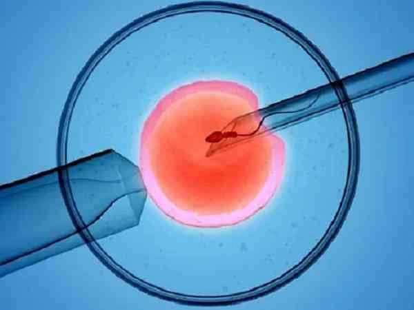 囊胚移植四十天胎心胎芽正常晚上出血是胎停的征兆吗？