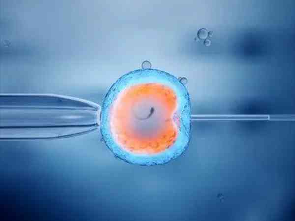 为什么有人取卵第三天就移植？能移鲜胚的身体条件都不差