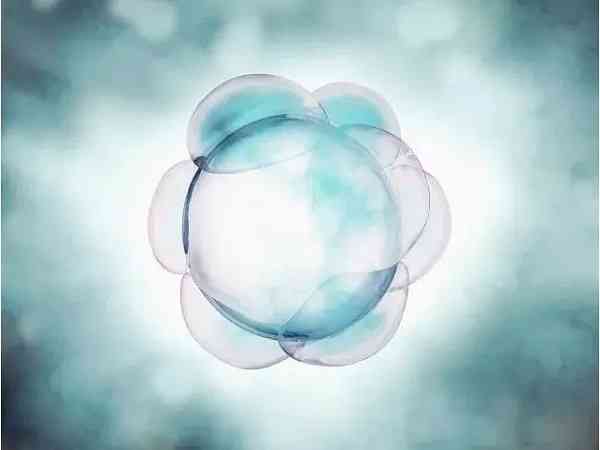 胚胎碎片率高会是基因突变的原因引起的吗？