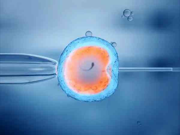 移植囊胚和冻胚14天hcg参考值有差距吗？