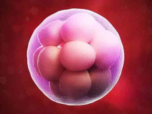 移植两个鲜胚为什么就变成了三个？怀3胞胎的原因有二