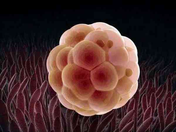 移植后胚胎着床降温身体会出现发冷发抖的情况吗？