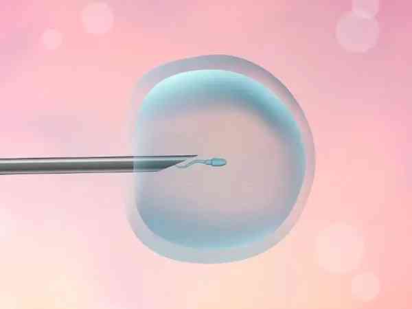 试管婴儿胚胎移植前几天输脂肪乳降低NK比较好？