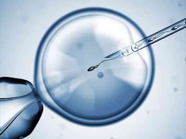 二代试管用哪种胚胎好？囊胚虽是首选但不适用所有人