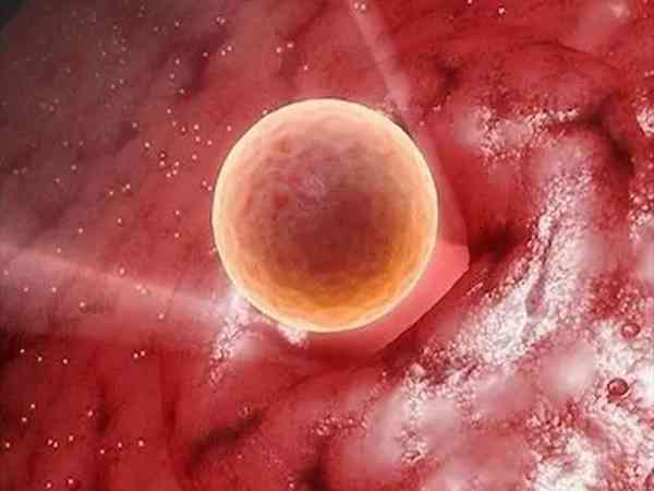 首次移植优质的胚胎为什么会生化?多数与这3原因有关