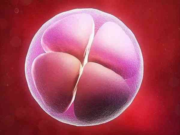 胚胎移植第二天下面湿漉漉的就冲了外阴有影响吗？