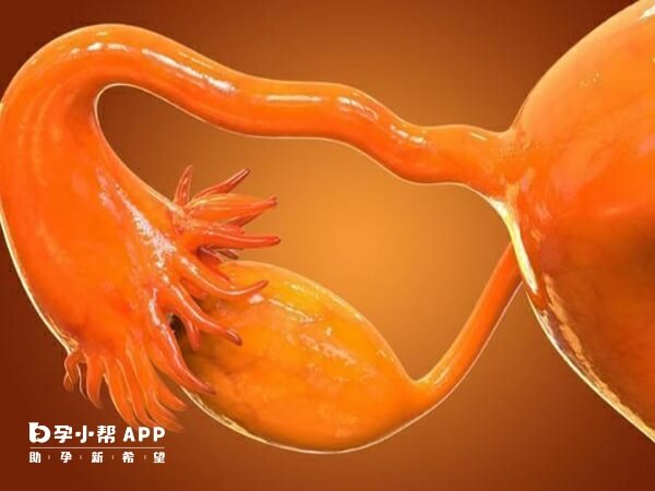 卵巢早衰可以做试管婴儿