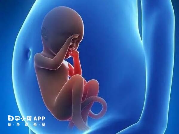 台湾第三代试管婴儿是不能够选择胎儿性别的