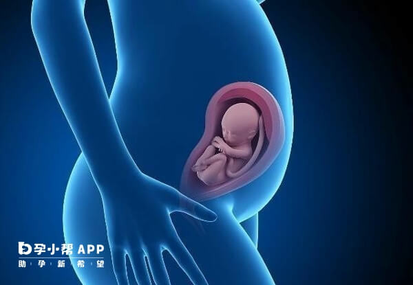 多囊肾怀孕20周胎儿是可以检查出来的