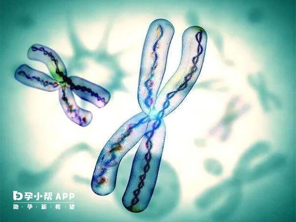 染色体异常做三代试管可能会成功
