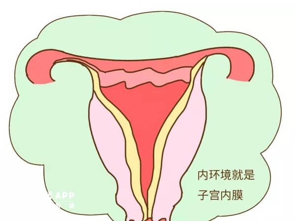 子宫内膜8毫米适合备孕