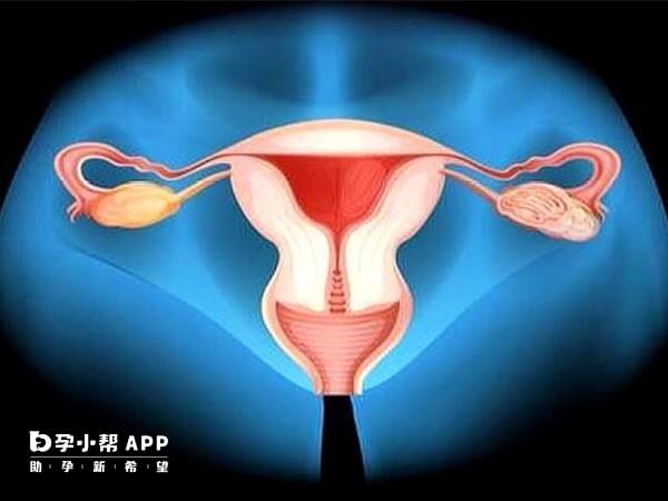 子宫腺肌症能怀孕