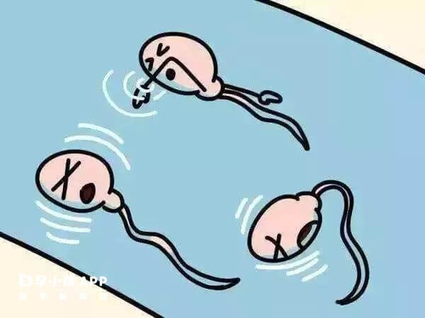胚胎停止发育的前兆有阴道出血