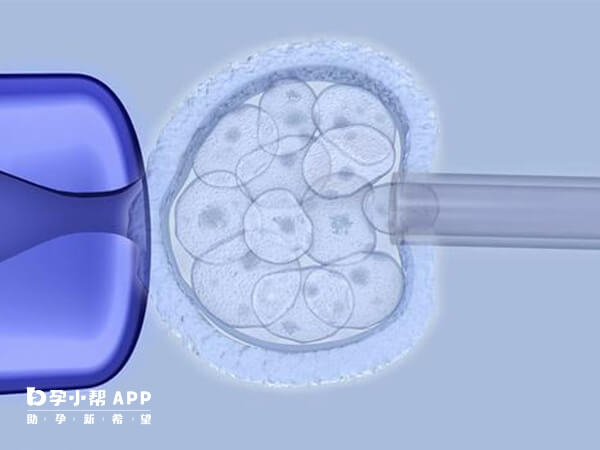 三代试管囊胚成功率较高