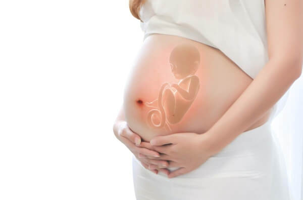 怀孕前三个月促黄体生成素是降低的