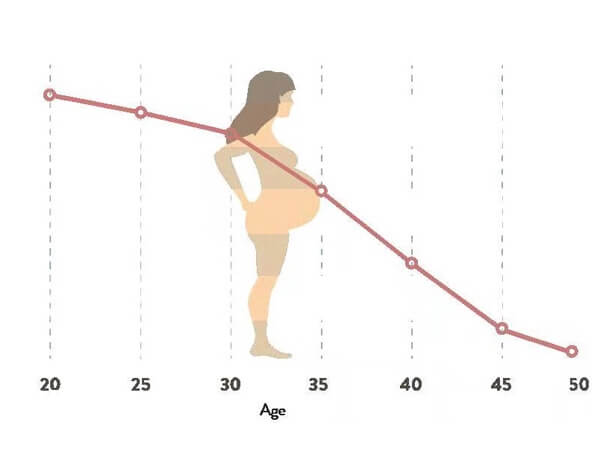 20岁左右女性怀孕几率较高