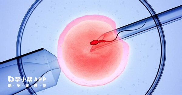 48岁女性卵子质量不好怀孕容易流产