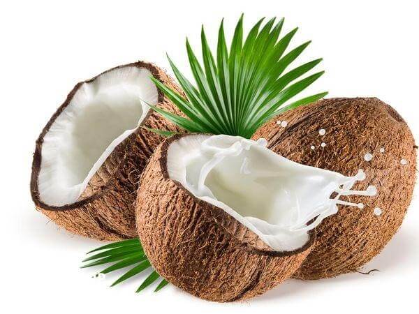 孕期椰子不能过量吃