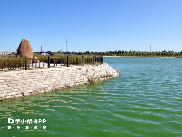 大庆油田院在让胡路区乘二村