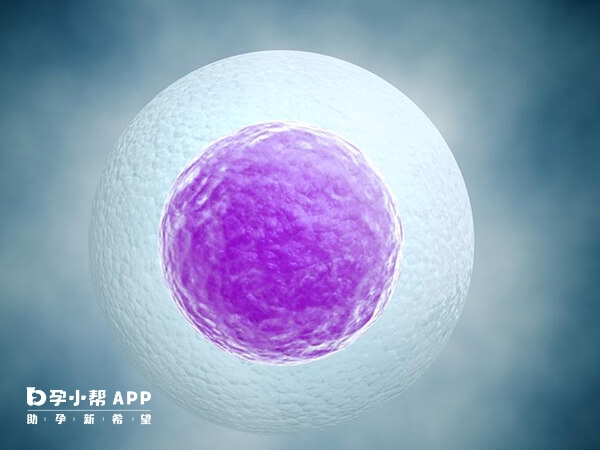 卵子质量极低可做供卵试管
